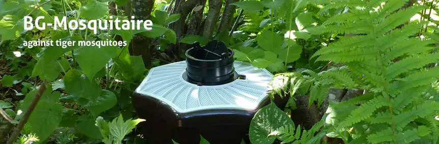an outdoor mosquito trap