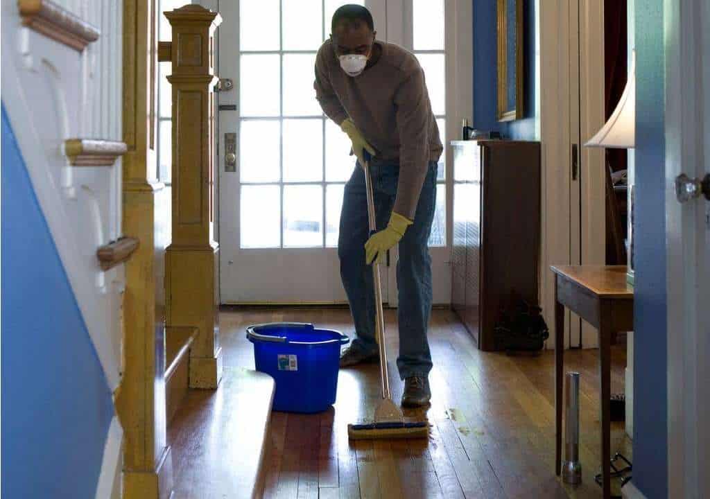 Regular cleaning is essential to remove food debris that can attract pests.