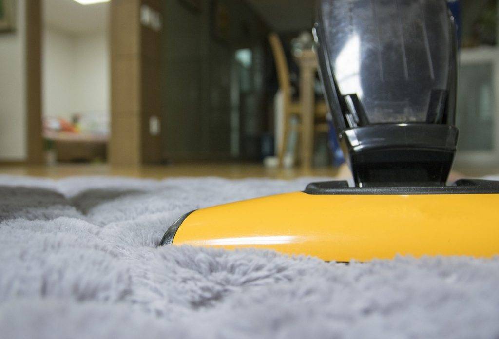 Regular vacuuming reduces the debris and prevents carpet beetle infestation.
