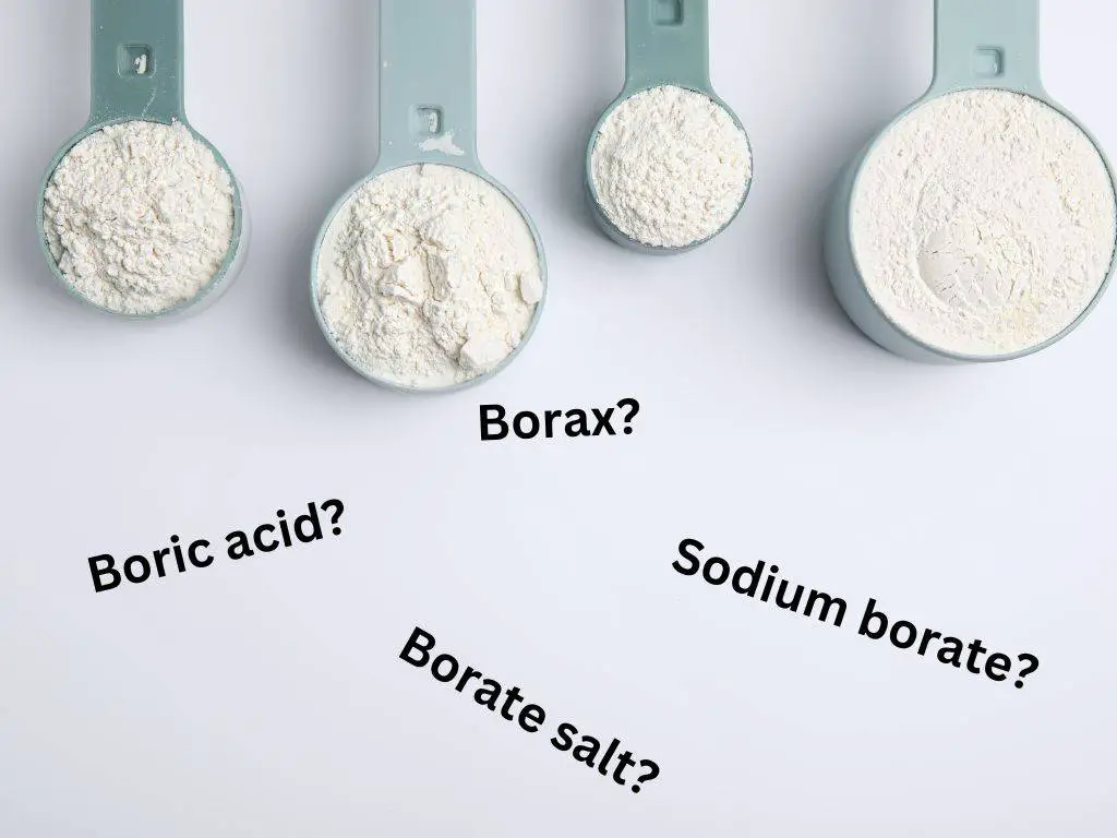 boric acid vs borax