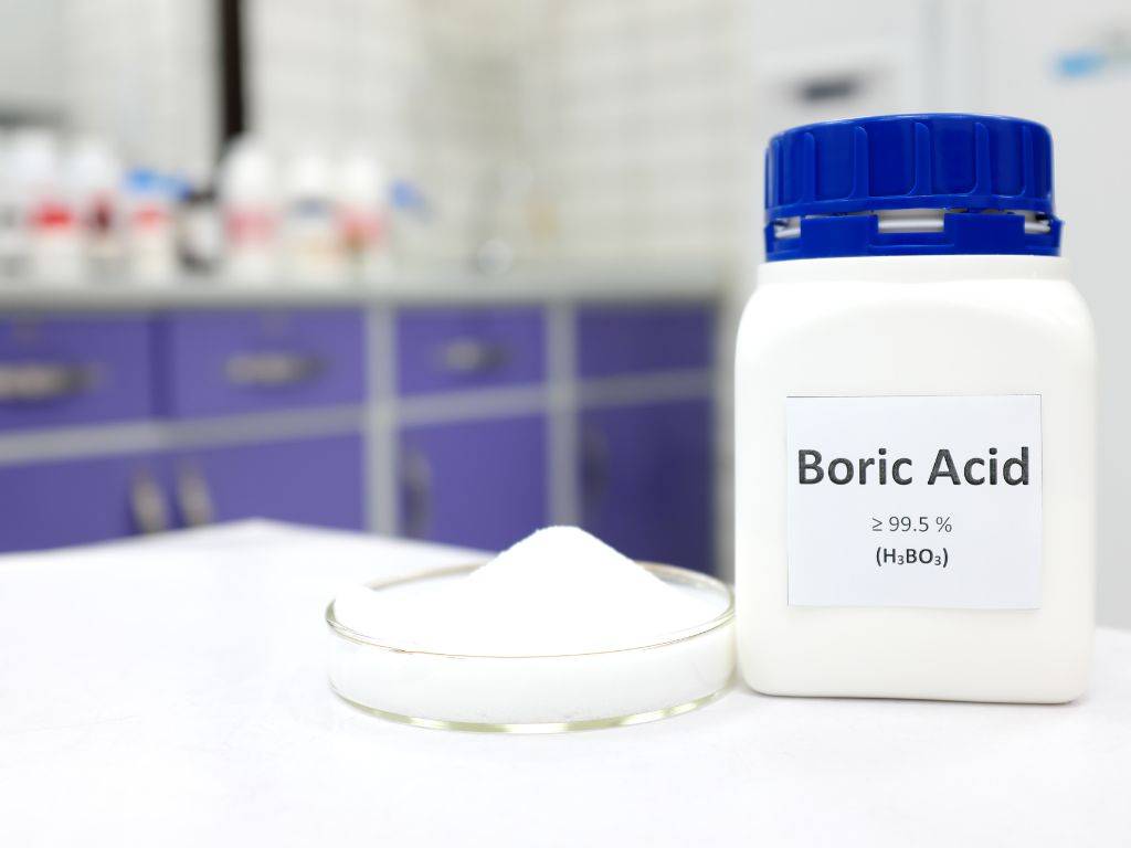Boric acid can be used to make ant bait