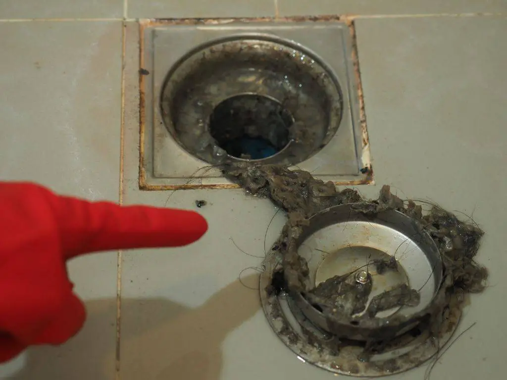 drain debris attract pests such as flies and cockroaches