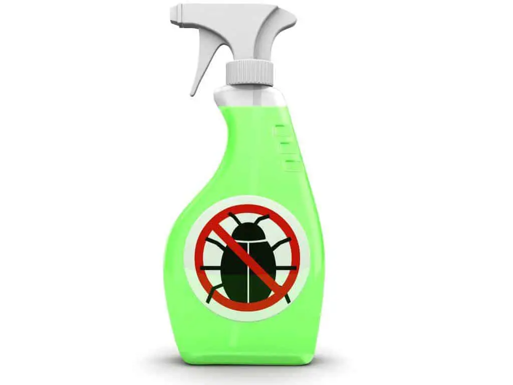 Use green pesticide to kill bed bugs