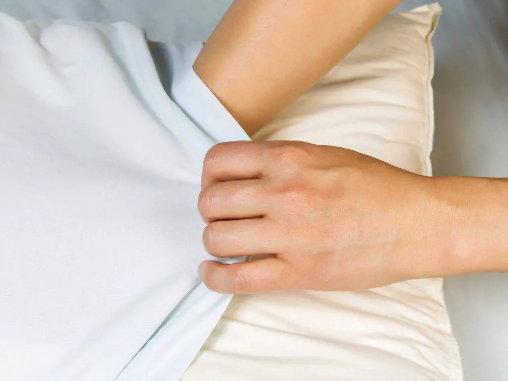 Sealed pillow cover can kill and prevent bed bugs
