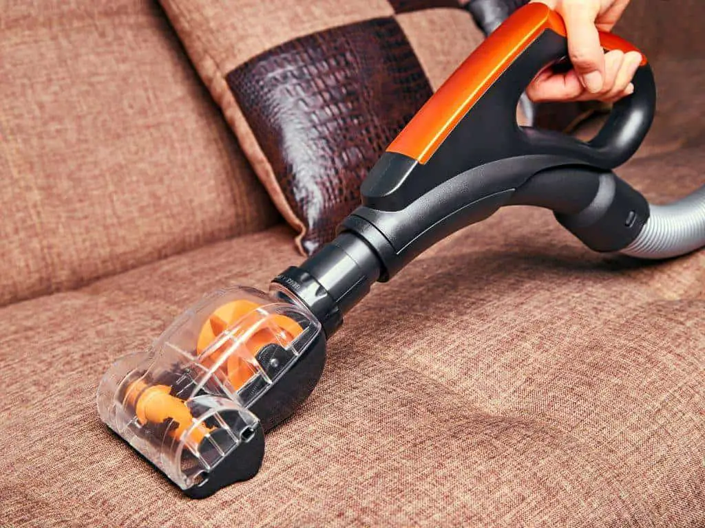vacuuming can remove fleas from sofa