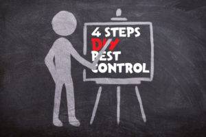 4 steps diy pest control