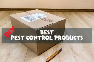 best diy pest control products