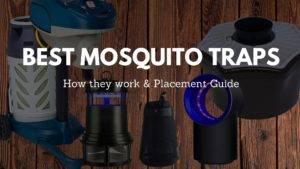 The Best Mosquito Traps of 2023