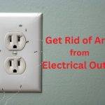 get rid of ants from electrical outlet