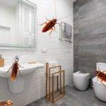 get rid of cockroaches in bathroom