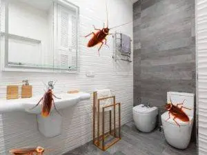 get rid of cockroaches in bathroom
